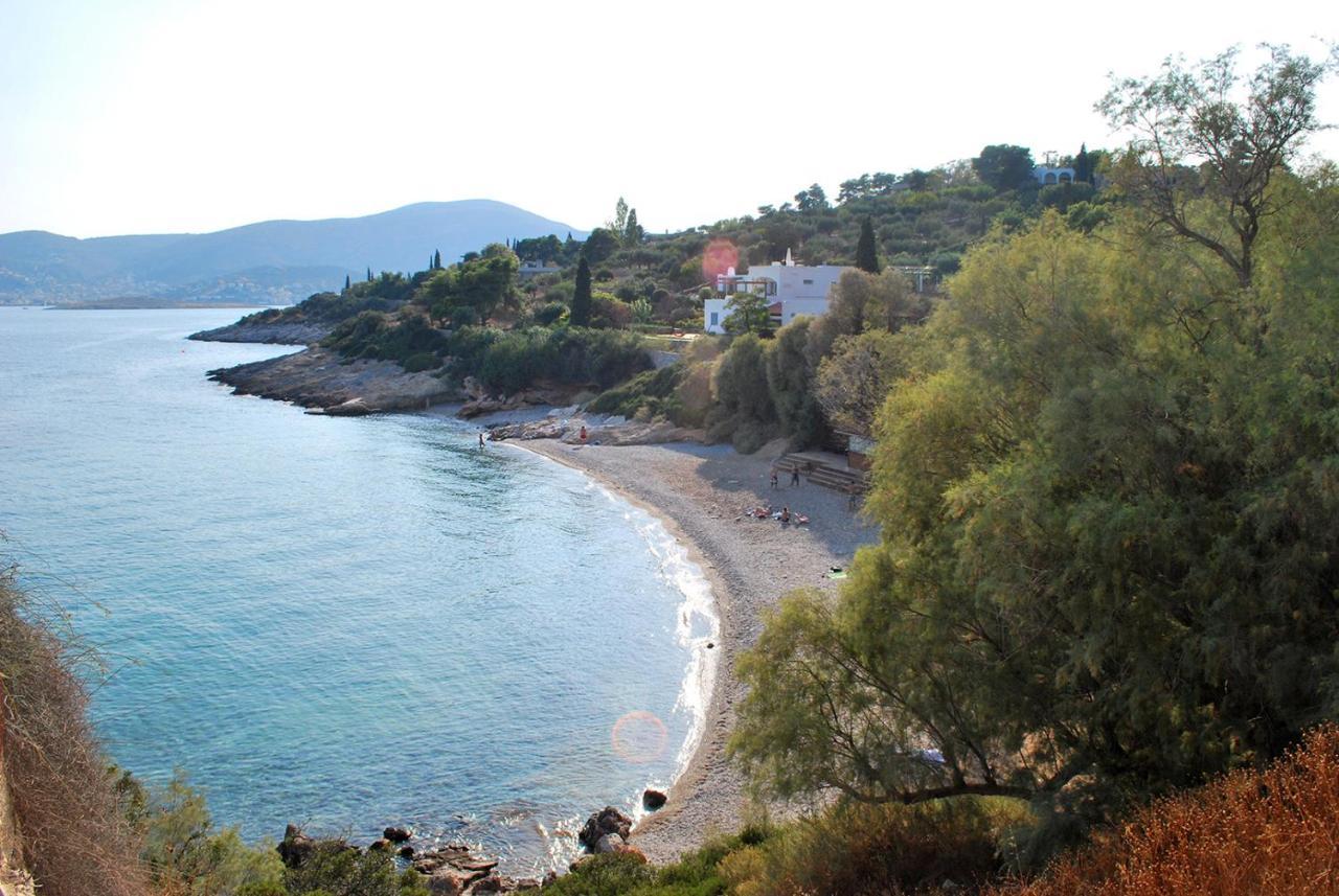 Villa Liana : Luxury Villa With Fantastic Sea View, Near Airport Pórto Ráfti المظهر الخارجي الصورة