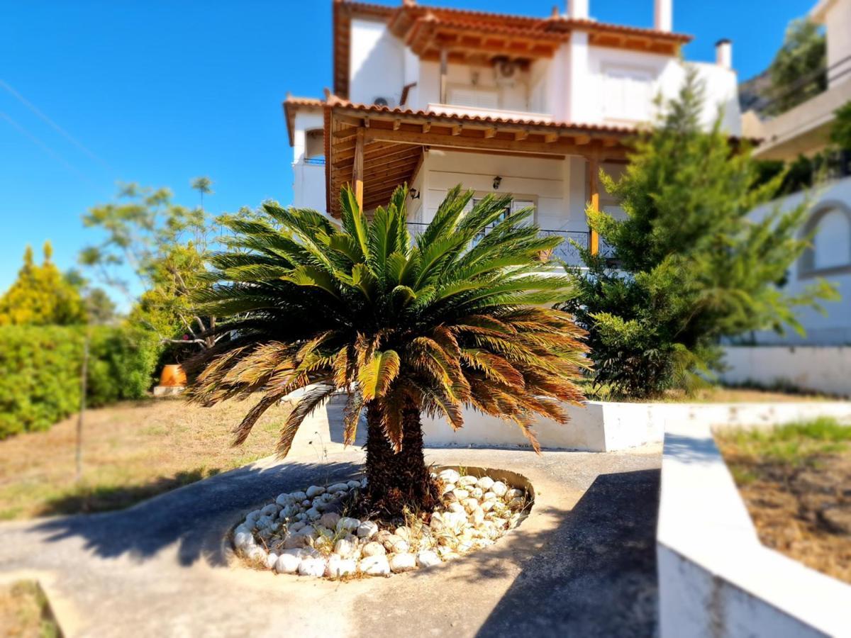 Villa Liana : Luxury Villa With Fantastic Sea View, Near Airport Pórto Ráfti المظهر الخارجي الصورة