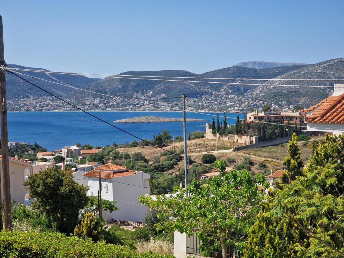 Villa Liana : Luxury Villa With Fantastic Sea View, Near Airport Pórto Ráfti المظهر الخارجي الصورة