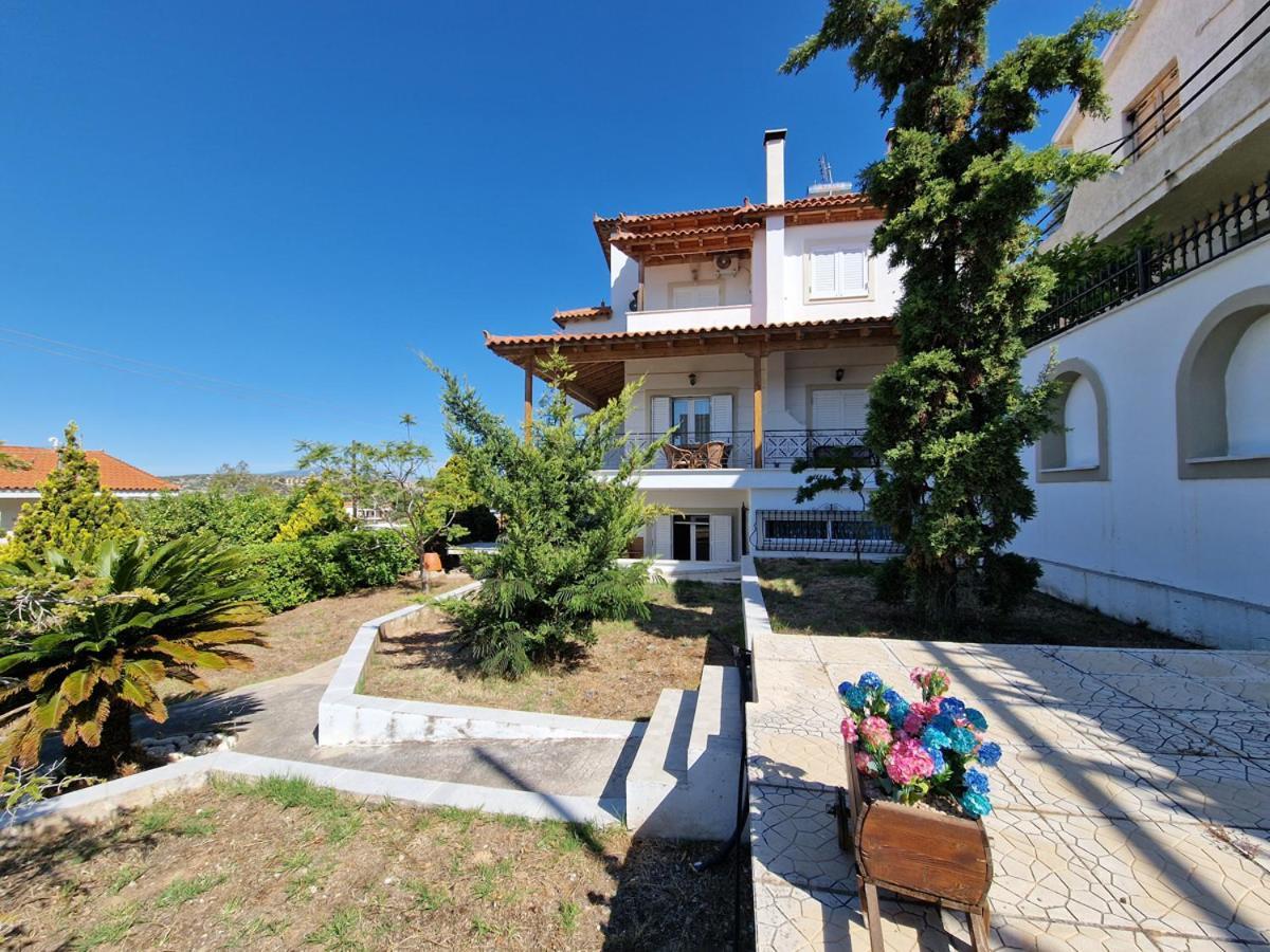 Villa Liana : Luxury Villa With Fantastic Sea View, Near Airport Pórto Ráfti المظهر الخارجي الصورة
